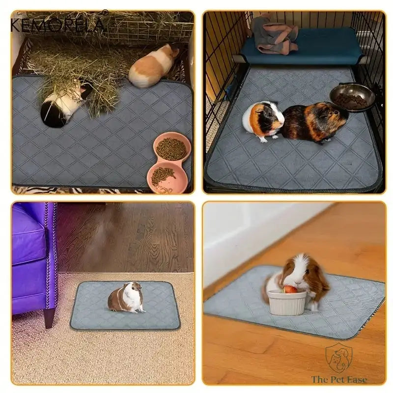 How to keep Guinea Pig Cage from Smelling The Pet Ease