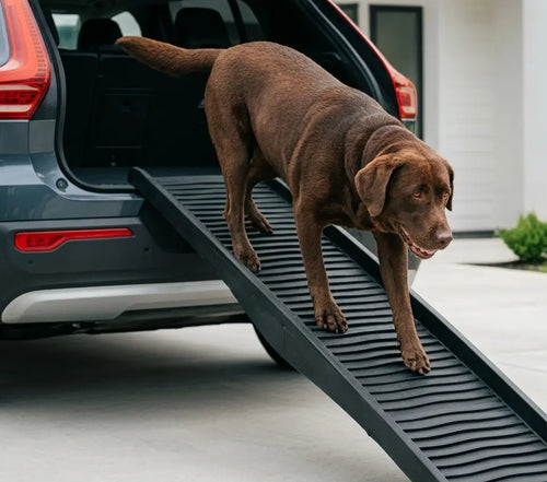 71" x 17" Portable Folding Dog Ramp – 300lb Capacity Heavy Duty Pet Car Ramp My Store