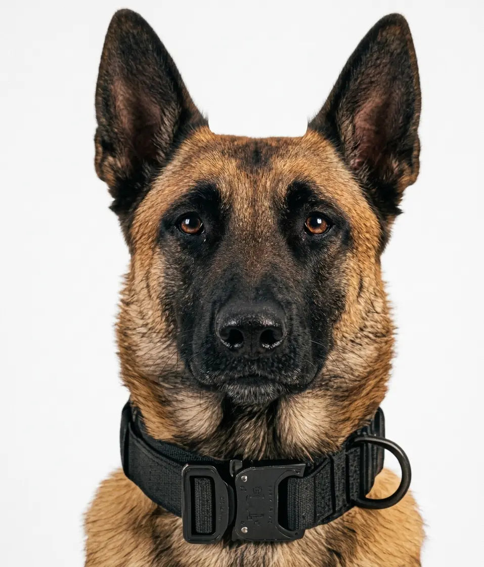 Tactical K9 Dog Collar with Control Handle & Heavy Duty Leash Set My Store