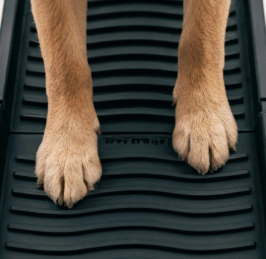 71" x 17" Portable Folding Dog Ramp – 300lb Capacity Heavy Duty Pet Car Ramp My Store