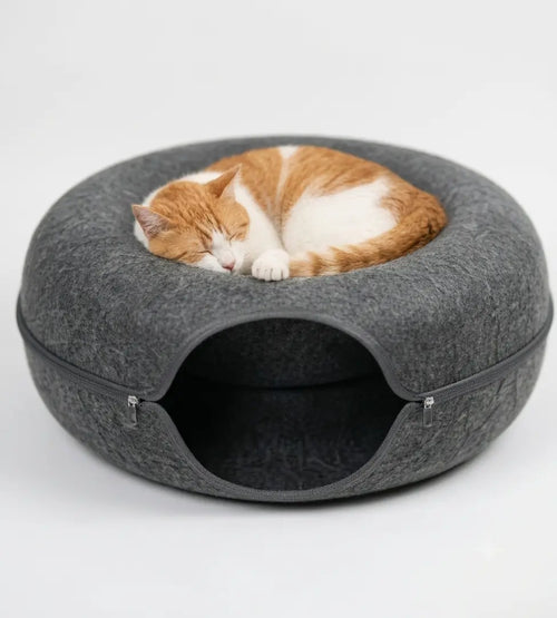 2-in-1 Peekaboo Cat Cave Tunnel Bed – Durable Felt Donut Bed for Indoor Cats My Store