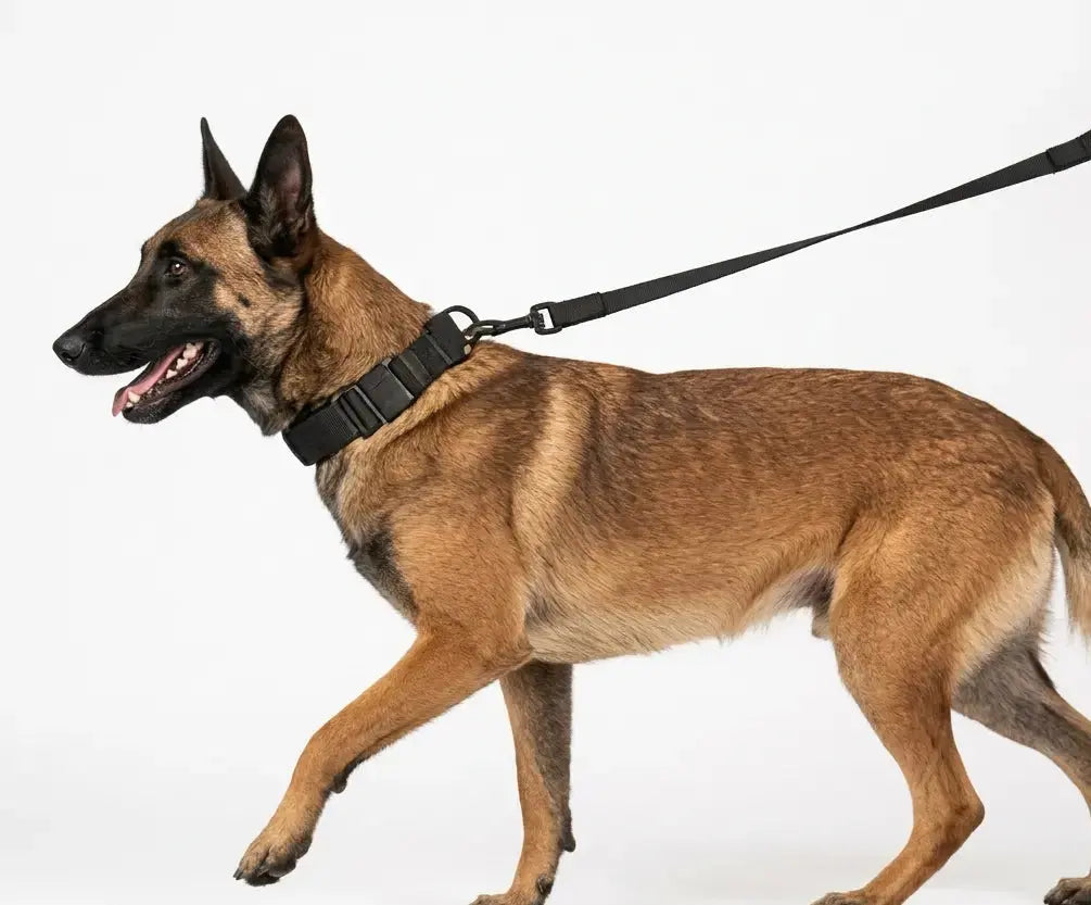 Tactical K9 Dog Collar with Control Handle & Heavy Duty Leash Set My Store