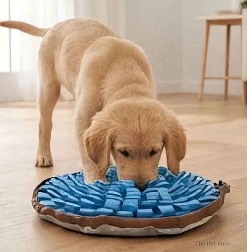 Puppy playing with a blue and brown dog toy on a wooden floor.