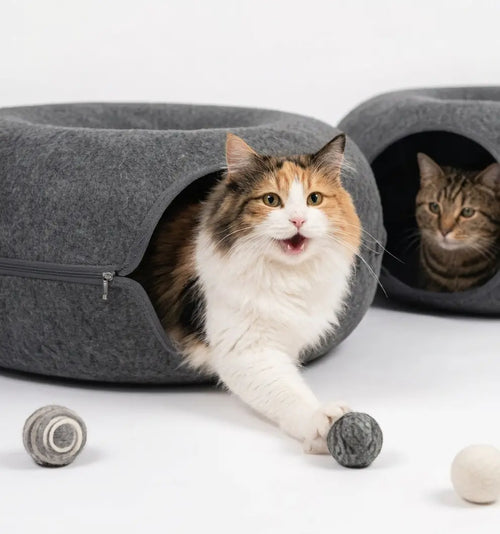 2-in-1 Peekaboo Cat Cave Tunnel Bed – Durable Felt Donut Bed for Indoor Cats My Store