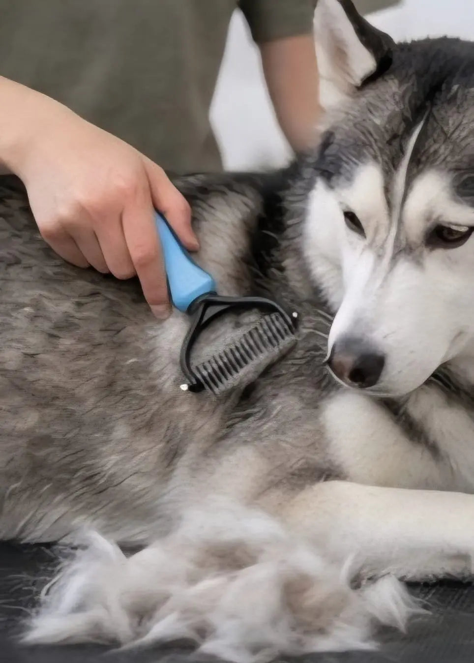 2-Sided Pet Grooming Tool My Store