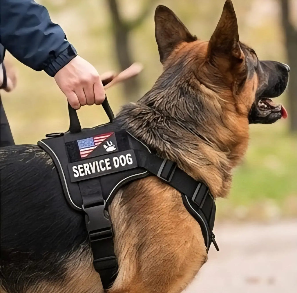 Tactical No-Pull Dog Harness | Adjustable Military Vest with Reflective Strips My Store