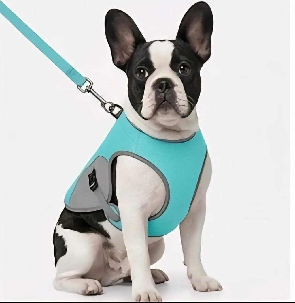 Instant Cooling Pet Vest – Heatstroke Prevention Summer Jacket for Dogs My Store