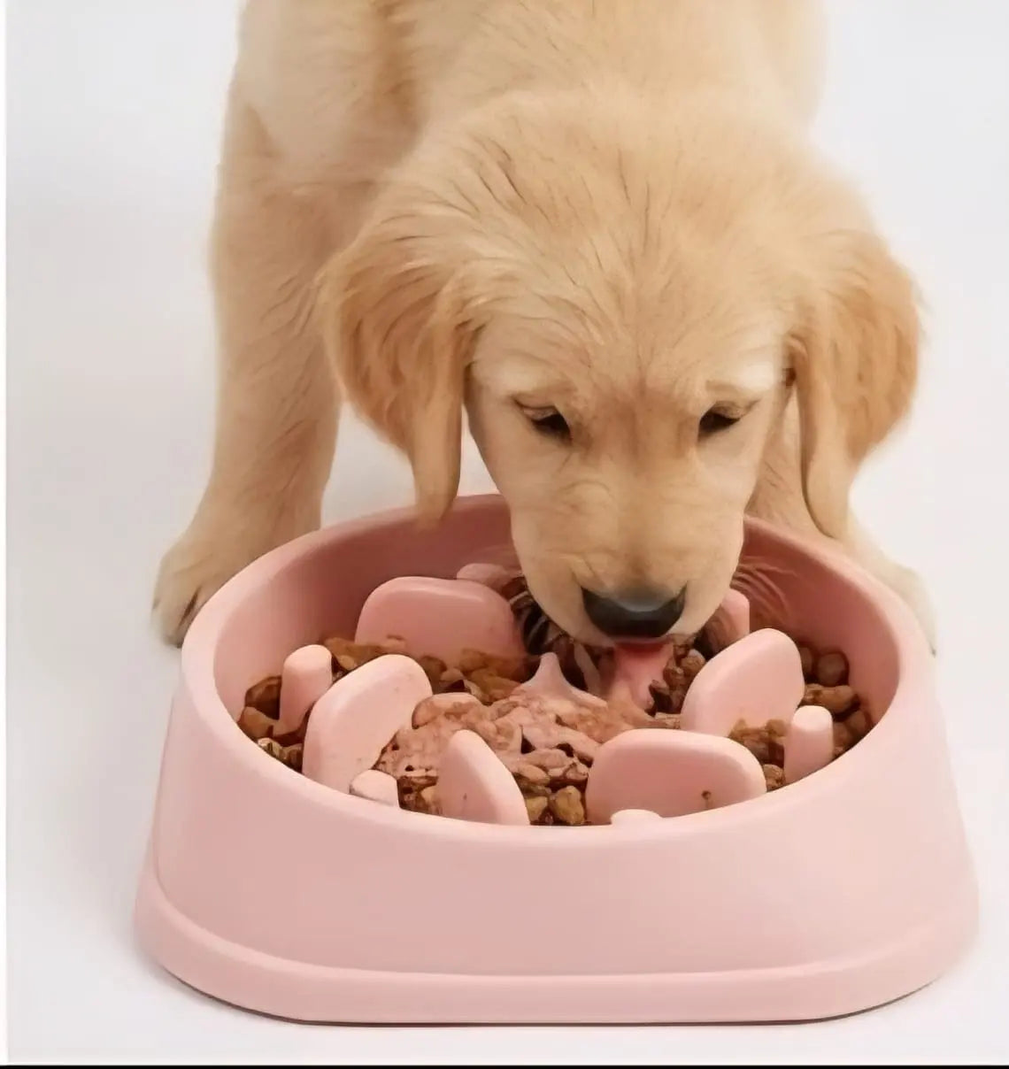 Slow Feeder Dog Bowl – Anti-Choking Non-Slip Puzzle Dish for Small & Medium Dogs My Store