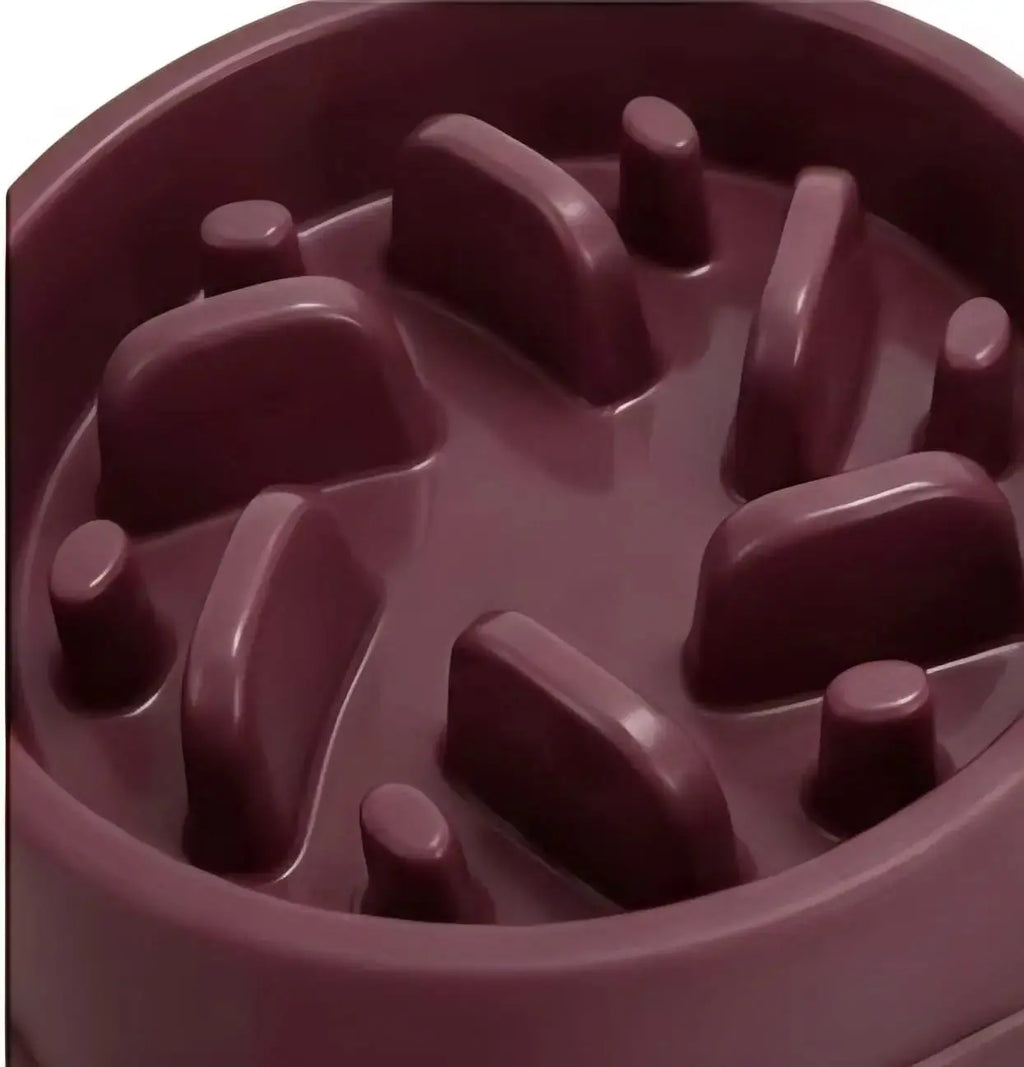 Slow Feeder Dog Bowl – Anti-Choking Non-Slip Puzzle Dish for Small & Medium Dogs My Store