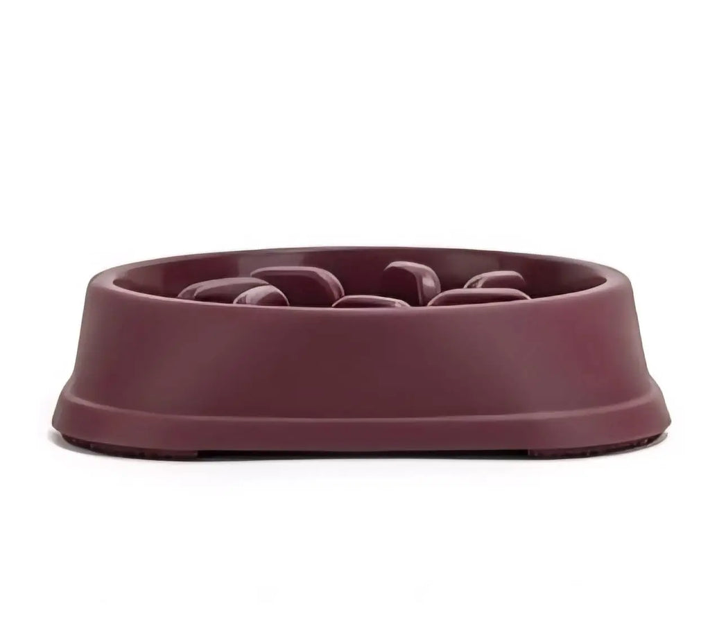 Slow Feeder Dog Bowl – Anti-Choking Non-Slip Puzzle Dish for Small & Medium Dogs My Store