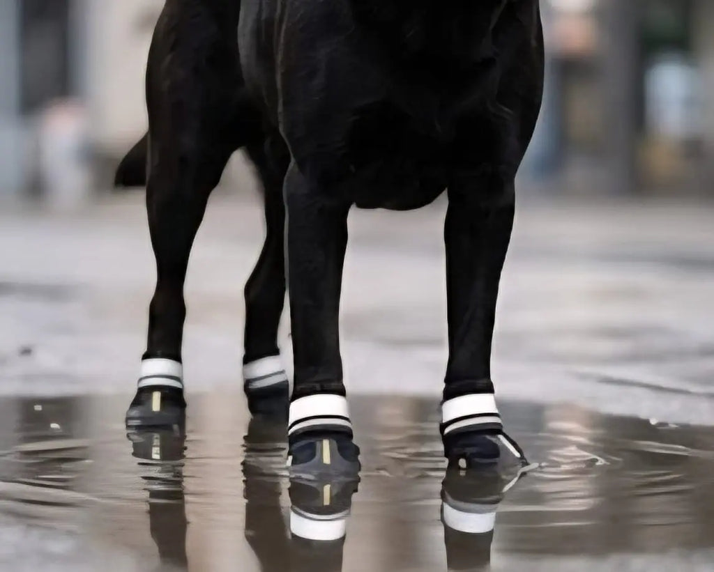All-Weather Waterproof Dog Boots – Non-Slip Rain & Snow Booties My Store