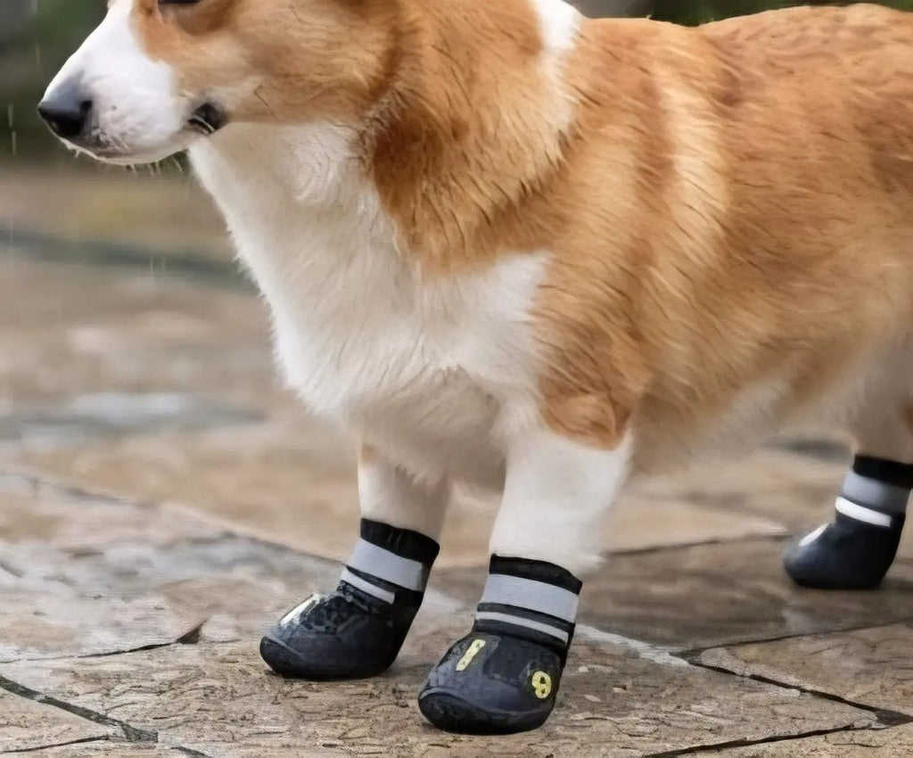 All-Weather Waterproof Dog Boots – Non-Slip Rain & Snow Booties My Store