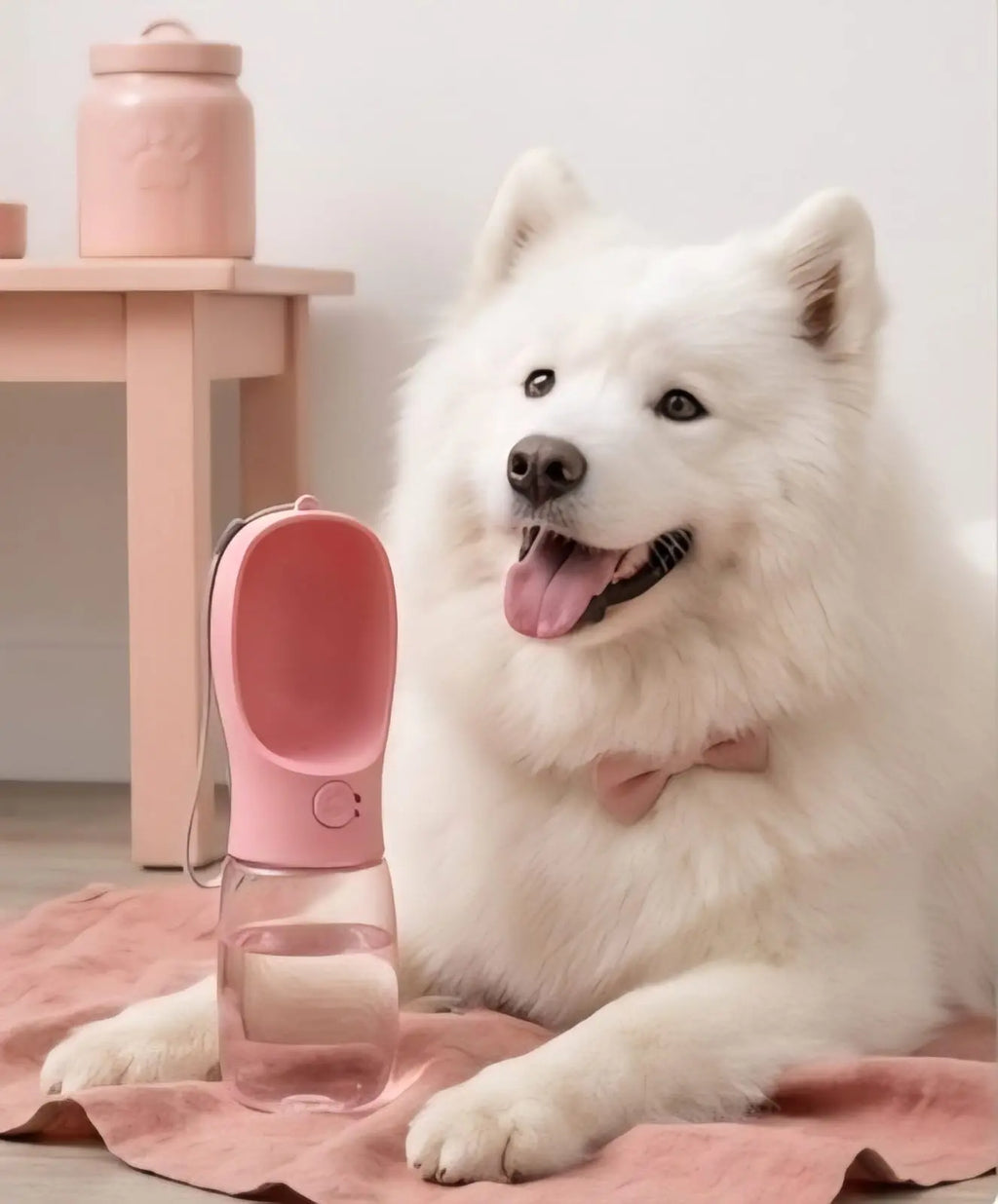 Portable Dog Water Bottle & Travel Dispenser My Store